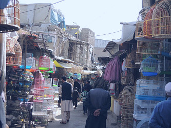 Why Afghanistan is my favourite destination — Young Pioneer Tours